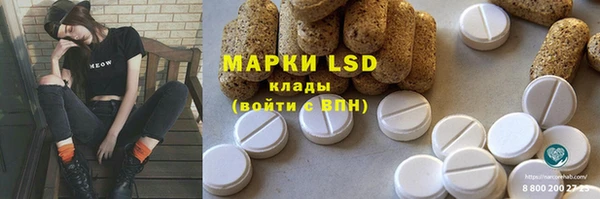 индика Новозыбков