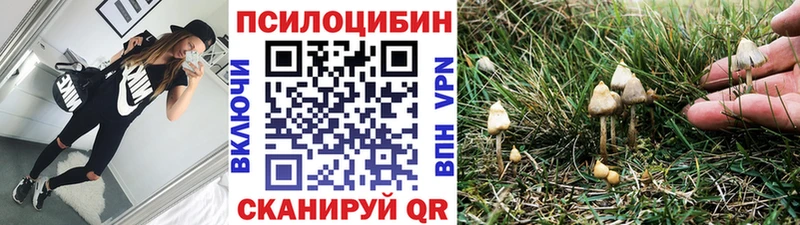 Галлюциногенные грибы Magic Shrooms  KRAKEN ONION  Черемхово 