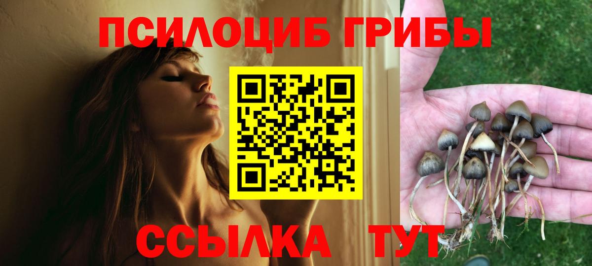 Псилоцибиновые грибы Cubensis Черемхово